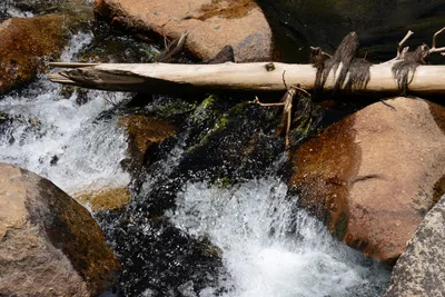 DSC_3685 (Large).JPG